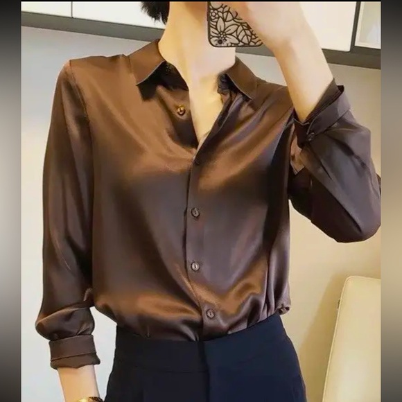 Sleek Brown Satin Button-Up Shirt - Picture 1 of 1